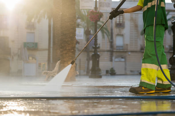 Best Solar Panel Cleaning  in Peosta, IA